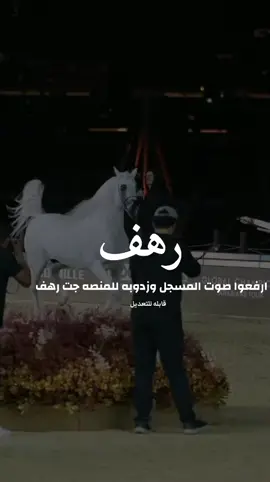 شيلة باسم رهف 2025شيله مدح رهف #شيلات_مدح_شيلات_تباريك_شيلات_زواج #السعودية_الكويت_الإمارات_قطر #شيلات_روعه_خواطر_ذوق #pppppppppppppppppppppp 