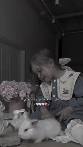 #CapCut #وجع_حومصية #تصميم_حومصية 