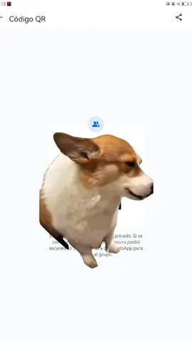 #Meme #MemeCut #CapCut 