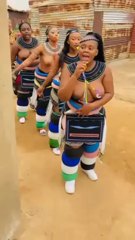 #@lungii22 @braceface_.hopeee mpanela🇦🇲 #ndebelegirl #ndebeletiktok #ndebeletiktoker🇦🇲 #thelerina