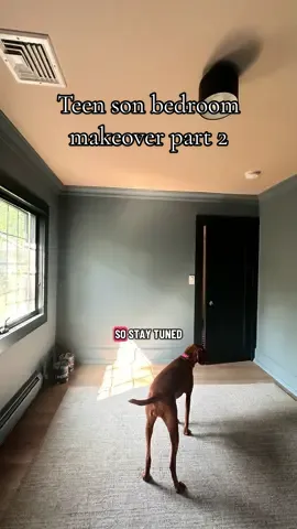 Part 2 my son’s teen room makeover/ all painted and awaiting the rest. Final part tomorrow so come back soon y’all #teenroom #teenbedroom #bedroommakeover #paintcolors #damaandwood 