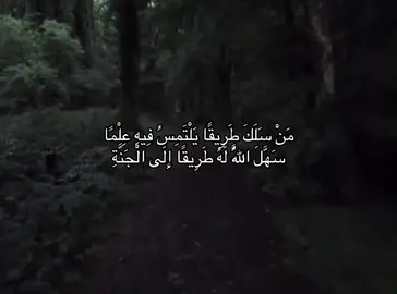 #من_سلك_طريقا_يلتمس_به_علما #قران #اكسبلورexplore #tiktok #fyp 
