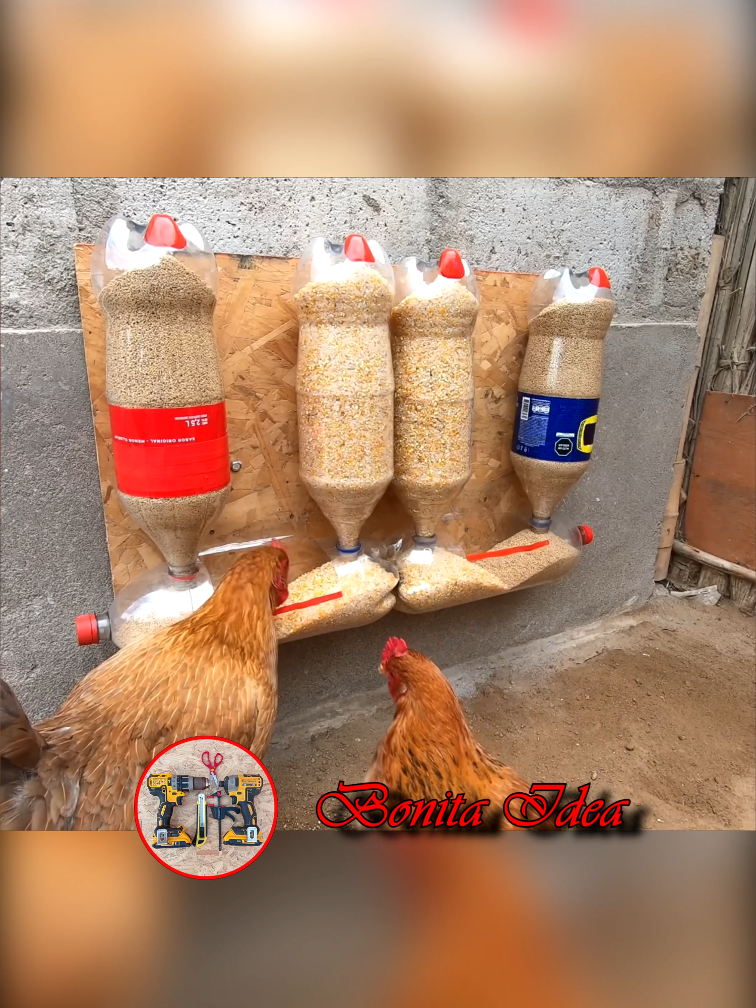 Como hacer este Comedero Automatico para criar a tus Gallinas 🐔🐓 usando solo botellas de gaseosa Recicladas ♻️♻️.