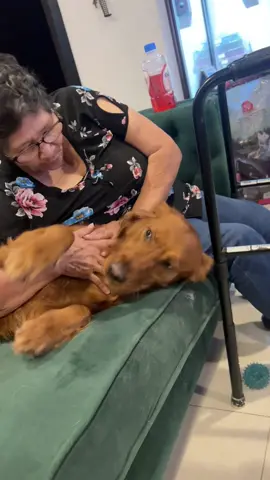 #abuela #mexico #Love #family #goldenretriever 