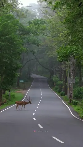 #സ്വപ്നസഞ്ചാരി🥰🥰 ***** ❣️❣️ പാട്ടിനെ പ്രണയിച്ചവൻ ❣️❣️