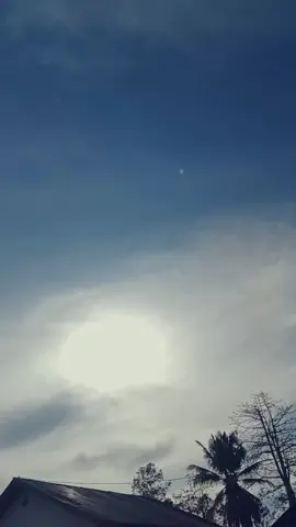 infopenumpang😅#nttpride🏝🔥fypシviraltiktok 