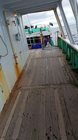 operasi new Zealand 🌊🛳️ #longline #kapaltaiwan🇹🇼 #yongsheng2 #fyppppppppppppppppppppppp 