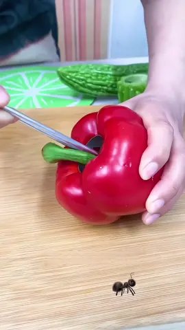 Fruit and vegetable seed removal and core remover