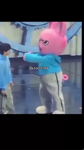 skzoo core 🎀#fyyyy #fypシ゚ #straykids #🎀🧸 #skzoocore