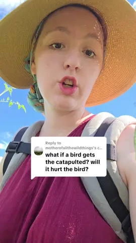 Replying to @motherofallthewildthings #organicgardening #btspray #pestcontrol #caterpillar #mycabbages 