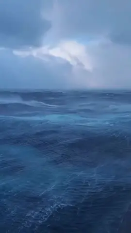 #سور_نوح  #سعود_الشريم 