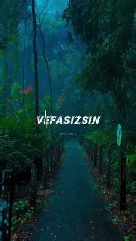 Vefasızsın sevemem seni ben.. #vefasızsın #çağın #adiledit00 