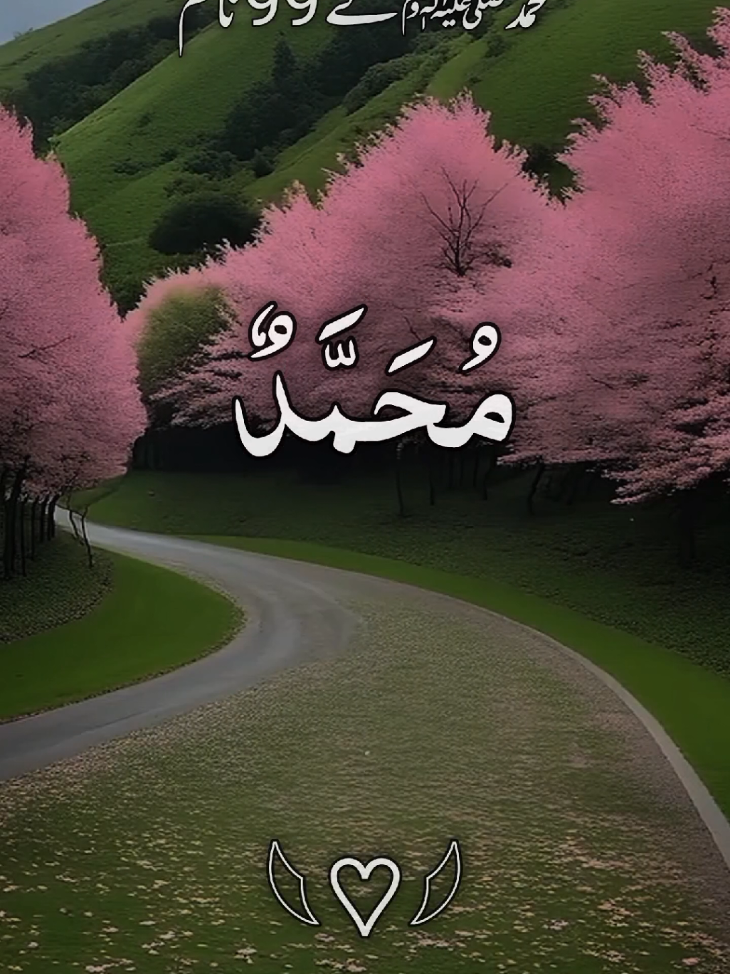 #i_love_muhammad_s_a_w #asmaunnabi #pleaseunfreezmyaccunt🥺 #foryuopage #foryuopage @TikTok @tiktok creators @TikTok UK 