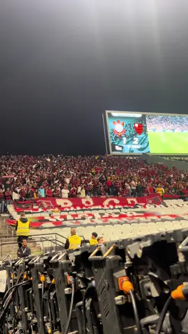 Festa absurda da torcida no Flamengo na Neo Química #foryou #flamengo #fyppppppppppppppppppppppp #foryoupage 