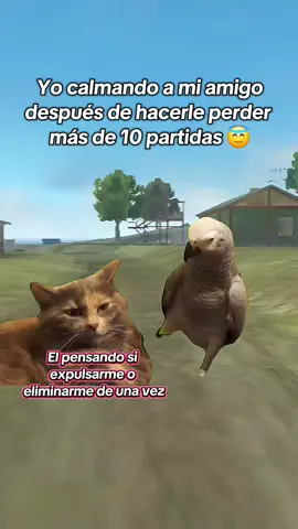 tqm amigo 😇💕 . . . #amigosdelfreefire #humordefree #freefire_lover #tendencia #apoyenelvideo 
