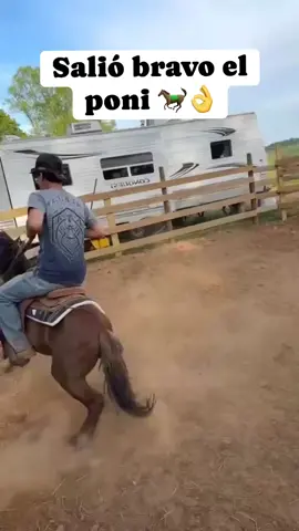 #corridoschingones #caballos #viralesvideo #todoelmundotiktok #parati 