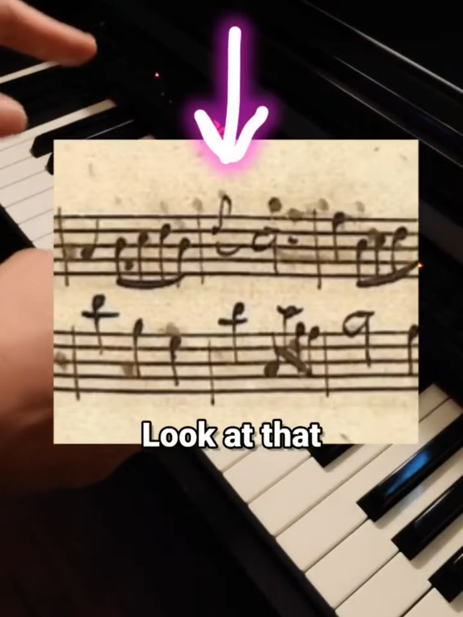 A hidden detail in Bach's Minuet in G 🤏🐞 We can obsess over this kind of thing all day long. Personally, I'm past it. But I understand you may not be. I'll wait in the temple. #bach #minuet #handwriting #manuscript #baroque