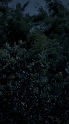 :)