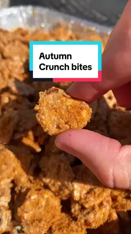 Autumn crunch bites! 🍁🍂 A recipe I came up with on my own and it’s AMAZING!!! Ingredients: 1 bag of mini pretzels 1/2 of a brick of almond bark  3/4 c peanut butter 1.5 sleeves Biscoff cookies crushed into fine crumbs 1 cup powdered sugar How to: Pour bag of pretzels into 9x13 pan. Melt almond bark and peanut butter together. Mix. Pour over pretzels and stir until well coated.  Next crush Biscoff cookies into fine crumbs and add those to a bowl with the powdered sugar and whisk together.  Pour onto pretzel mixture and stir until coated!! #dessertrecipe #sweetandsalty #fallrecipe #EasyRecipe #foryoupage 