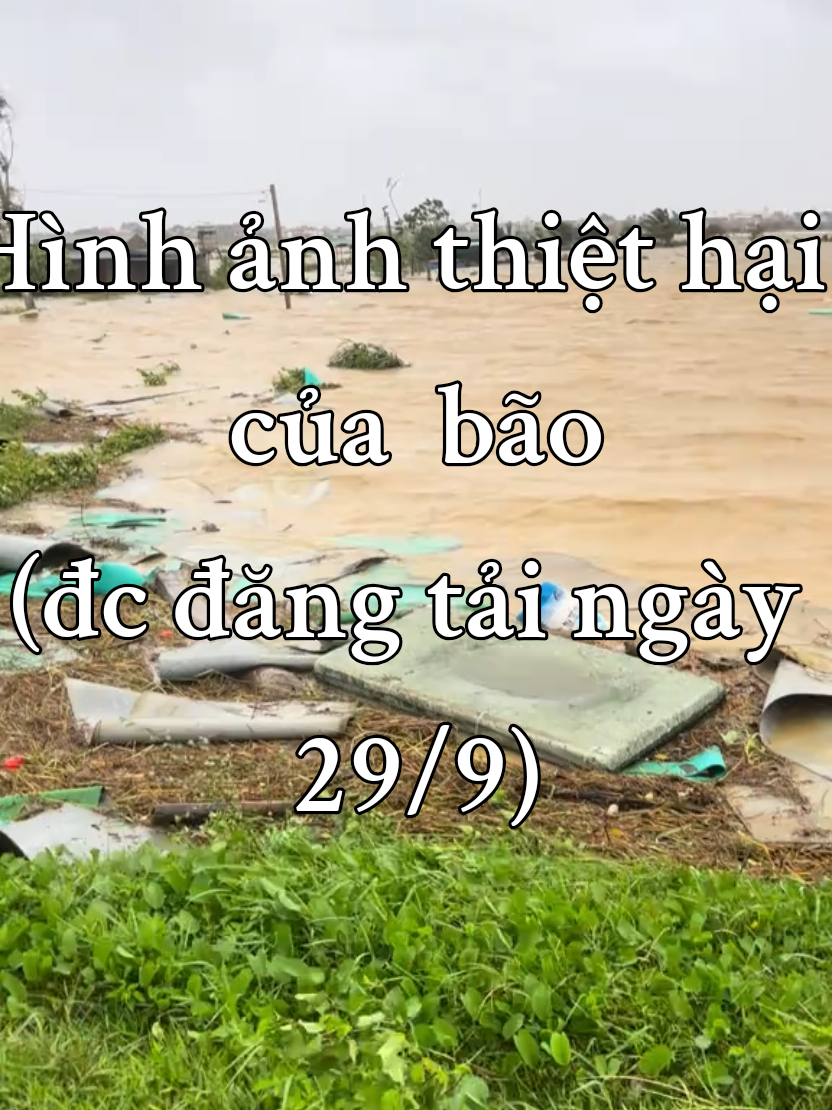 #nhachaymoingay . #xuhứơng .Mưa tràn về  đất  mẹ..#@TânPhạm 