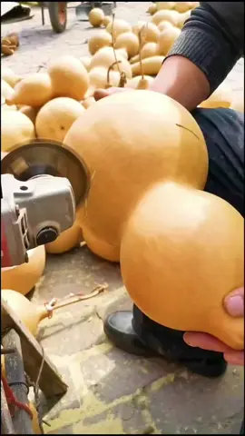 We are not selling products to you, but take natural beautiful things and happy life to you! Enjoy the nature together! #3hlink #Lavender #palmleaves #driedflowers #3hlinkflower #preservedflower #bohodecor #pampasgrass #hydrangea #homedecor #weddingdecoration #babybreath #handmadecrafts #hoteldecor #luxurydecor #flowerbouquet #flowerboxes #flowerbouquets #hydrangeas #christmasdecor #christmasflowers #preservedtree #witchbroom #christmas #driedflowerwholesale #cassiacinnamon #amarantus #willowbranch #minihaybales #decorhaybales 