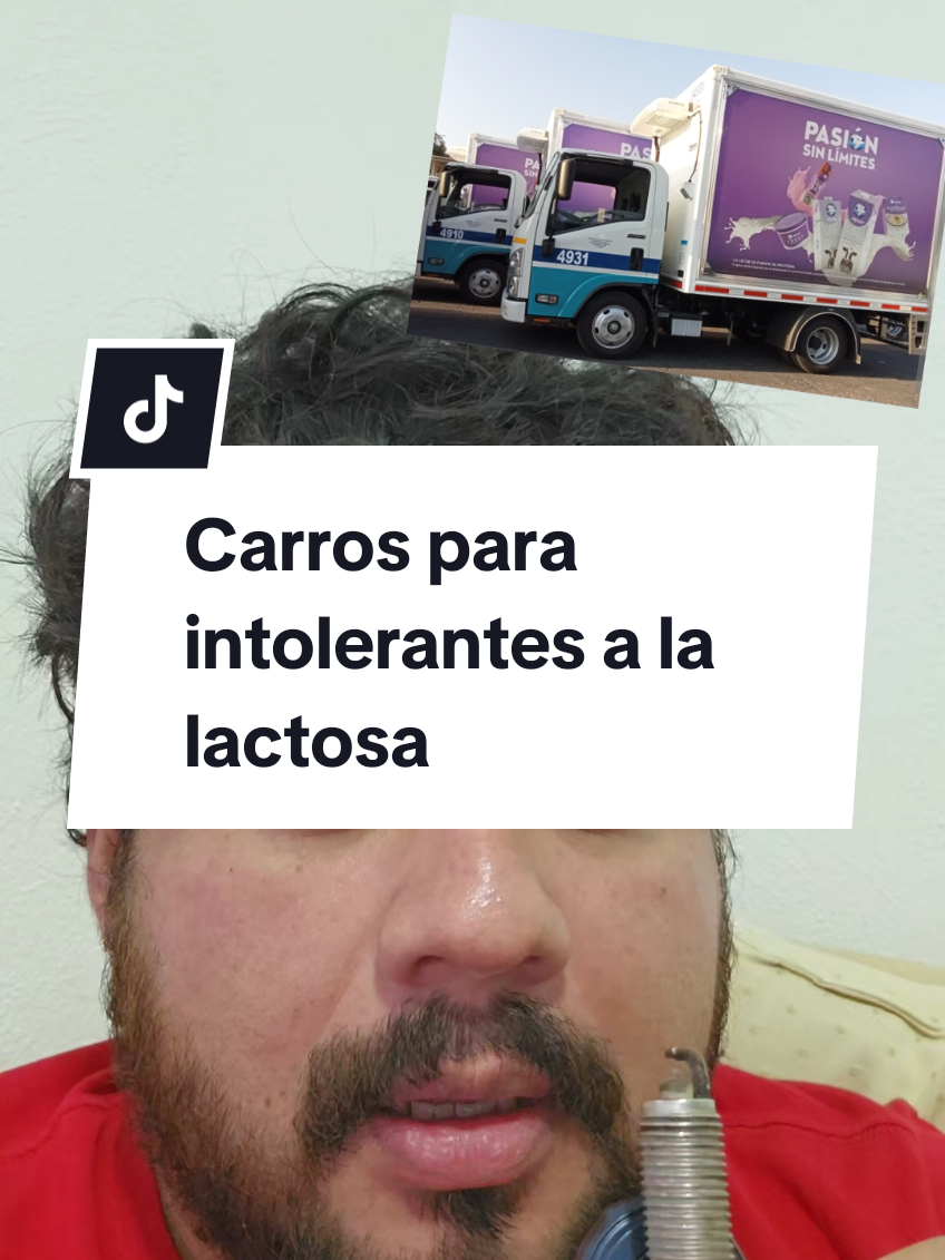 Replying to @tinoalva_off Carros para intolerantes a la lactosa que buscan su auto ideal 😎🚗 #brandonjuarez #carros #autos #carrosmexico #hondaelement 