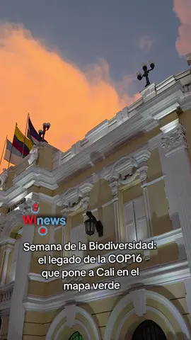 SEMANA DE LA BIODIVERSIDAD EN CALI: MÁS DE 60 MIL PERSONAS Y 350 ACTIVIDADES Del 29 de septiembre al 5 de octubre, Cali se convierte en el epicentro mundial de la biodiversidad con la primera edición avalada por la ONU. Serán más de 350 actividades gratuitas en el Bulevar del Río, el centro histórico y otros escenarios, con la participación de 17 países, 400 expertos y el Reino Unido como invitado de honor. El evento busca dejar un legado de la COP16, impulsar la bioeconomía y mostrar cómo la biodiversidad puede ser motor de desarrollo, turismo y negocios verdes. ¿CALI ESTÁ LISTA PARA CONVERTIRSE EN CAPITAL GLOBAL DE LA BIODIVERSIDAD? 💬 #SemanaDeLaBiodiversidad #Cali #ValleDelCauca #MedioAmbiente #Noticias 