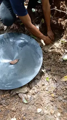This young man found thousands of gold grains stranded on the river bank #goldminning #goldpanning #goldnuggets #goldhunte #goldrush