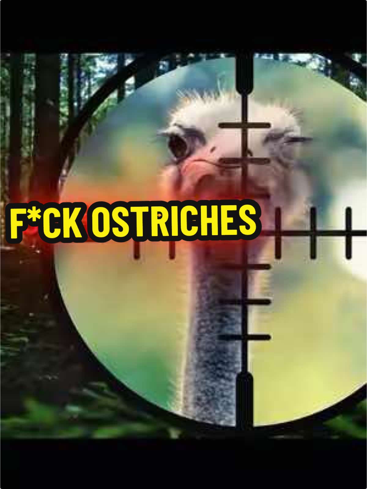 F*CK OSTRICHES (FULL SONG OUT ON STREAMING) #ostriches #fuckostriches #lilcomb #comedymusic #funnyrap 