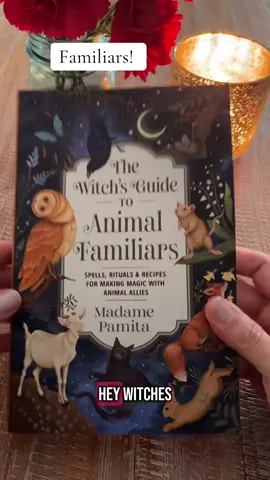 Animal Familiars! #familiar #witchybooks #animalguides #witchyvibes #witchythings 