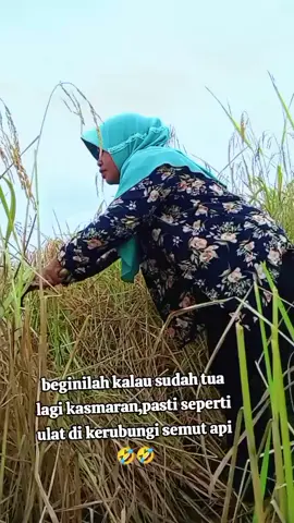 ada cerita dibalik kisah🤣 #vidiolucu  #tiktok  #vidiofypシ゚viral_fypシ゚viral 