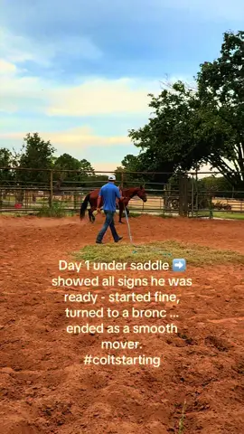 From rodeo bronc to smooth mover. Our 2-year-old gelding tried out the saddle for the very first time today kicked up some dust, found his balance, and finished like a pro on the line.  💪✨ #ColtStarting #HorseTraining #2yoProspect #BuckingBronc #FirstSaddle     