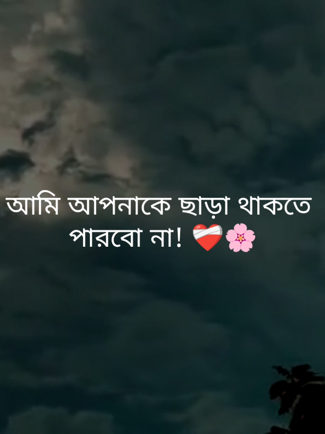 আমি আপনাকে ছাড়া থাকতে  পারবো না! ❤️‍🩹🌸#fypシ゚ #foryou #status #tibro04 #unfrezzmyaccount 