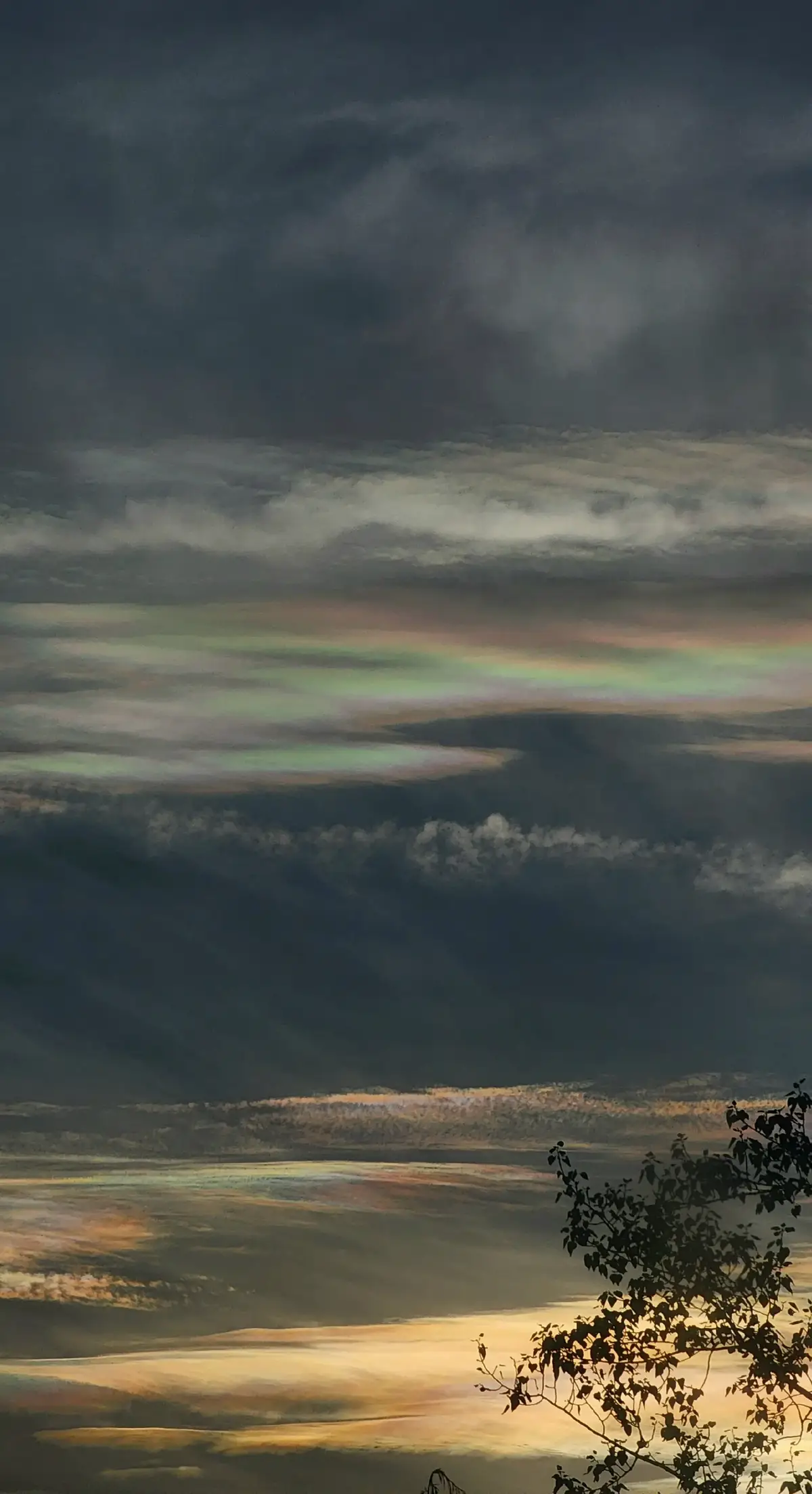 Ever seen rainbow clouds? They’re real!! 🌈☁️ It happens when sunlight hits ice crystals just right. Seeing the rainbow clouds + the sunset at the same time was beautiful 😍 it is pretty rare to see these clouds since the conditions have to be perfect, but a storm was rolling in, the sky was full unique thin clouds, and the sunlight hit at the perfect angle ✨️ These iridescent clouds show up most around seasonal shifts when sun angle and moisture line up, especially late summer into fall!