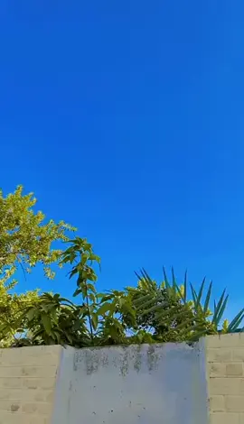 @Faizan Armany @Sk kashif 😈 @wahidullah9526@gmail.com