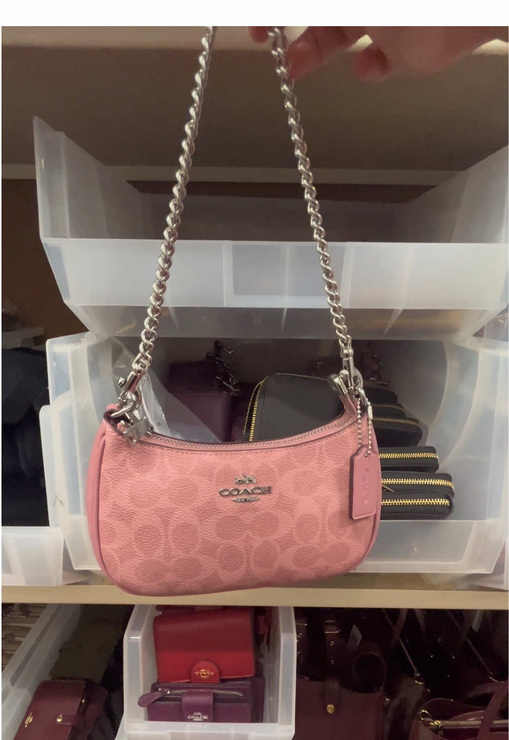 Dusty Pink is Back 🩷🎀 @Coach #coachoutlet #pink #fypシ゚viral #pursetok #coachcollection 