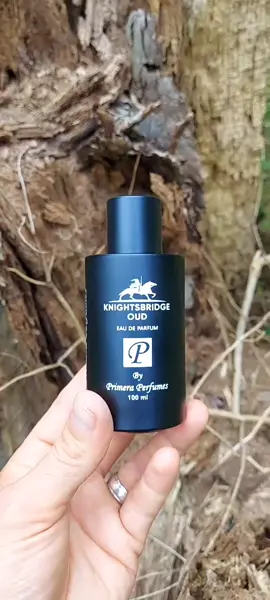 Hi Fragfam!! My sotd is Primera Perfumes Kuwait Knightsbridge Oud. It was launched in 2022. Official Notes are: Top Notes: Spices, Herbs, and Lime Heart Notes: Sandalwood, Cedarwood, Vanilla, and Lemongrass Base Notes: Musk, Indian Oud Laos, Ambergris, and Patchouli Knightsbridge Oud opens with a fresh aromatic blend of Herbs, Spices, and Lemongrass that blends harmobiously with a woody base of creamy Sandalwood camphorous Cedarwood, and a rich smoky Indian Oud as well as warm resinous undertones of Vanilla. It's a beautiful release that is the perfect fragrance for the Autumn/Fall weather. Have you tried Knightsbridge Oud or anything else from Primera Perfumes Kuwait? Go to https://primerakwoffical.com/ to learn more.  Perfumes Official This fragrance is also available on MaxAroma. @Primera Perfumes Official @MAXAROMA  #primeraperfumes #maxaroma #fragrance #perfume #parfum 