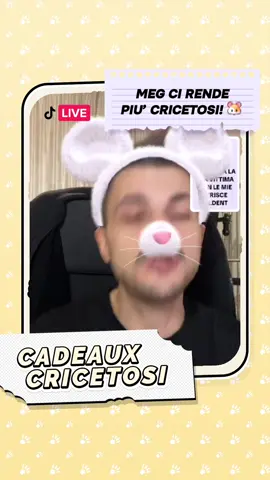 #cadeauxcricetosi @Meg🌚 ti amo ♥️#CapCut 