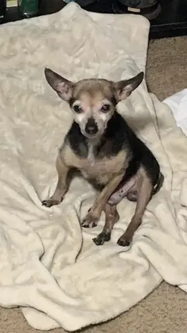 #ハッピーセットai 