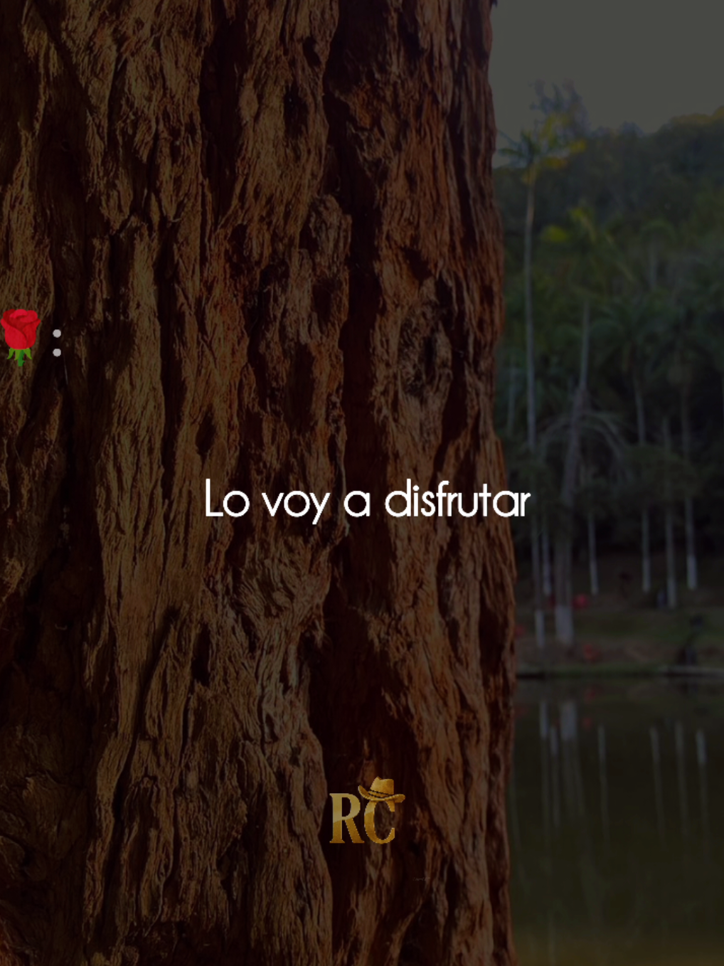 Cada segundo a tu lado...📝🌹 #fypシ゚ #rolitaschidas #letrasdecanciones 