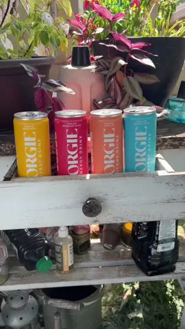 I’ve finally found an energy drink that gives me clean energy without the jitters. 💥  Gorgie energy drinks are made with green tea caffeine, vitamins, and real ingredients—so it actually works with my body instead of against it.  It’s light, refreshing, sugar-free, and perfect if you’re looking for a healthier energy boost that still tastes amazing.  #cleanenergydrink #greentea #gorgie #energydrinkreview #energydrink 