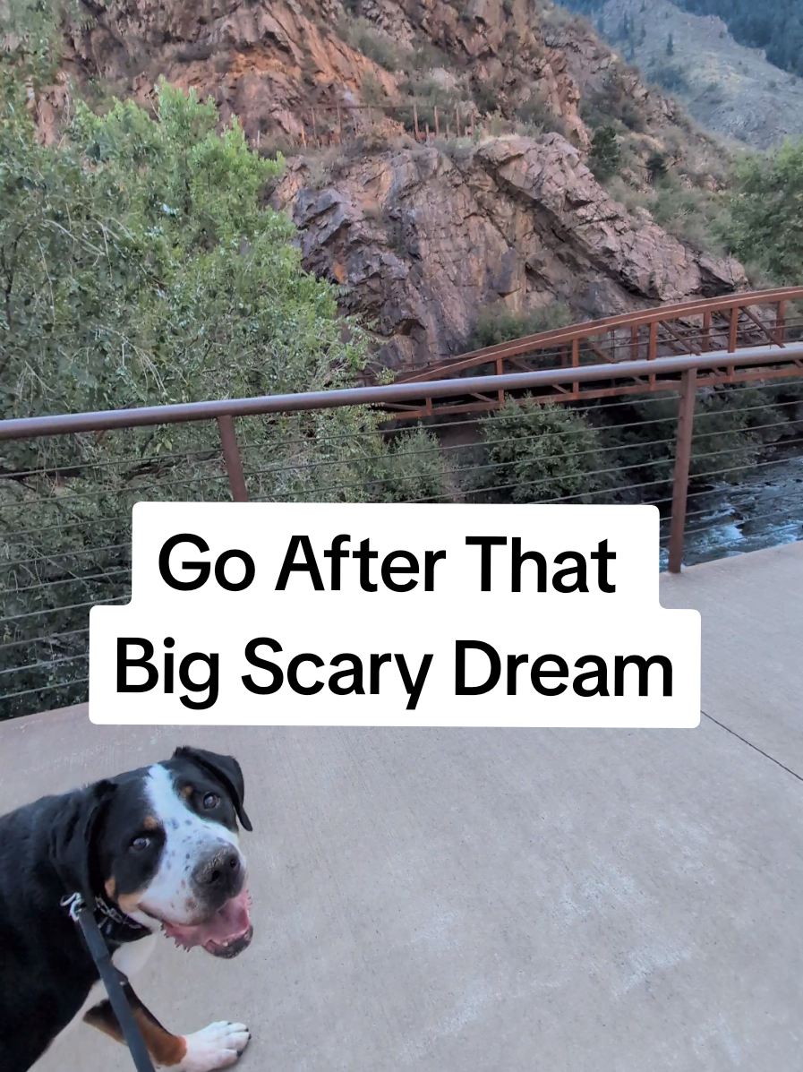 My dog agrees! 🐶🙂 #heartsdesire #bigdreams #takealeapoffaith 