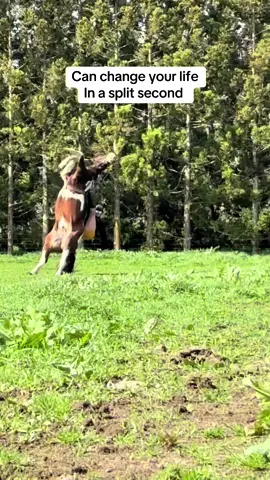 It only takes a second to rewrite your story. So incredibly lucky to be able to walk away from this with just spinal shock a long and slow recovery will definitely be back on a horse again just taking things a bit slower and finding the pain in patch that caused him to explode. #spinalinjury #horsesoftiktok #patchytwat #felloff #walkyourwonderful 
