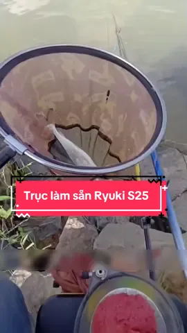 Ae cần thủ sợ buộc trục lâu cá bỏ ổ? 👉🏻 Dùng ngay trục làm sẵn Ryuki S25 nhanh gọn, tiện lợi!  #Vietnamfishing #fishing #cauca #caucagiaitri #caucatunhien 
