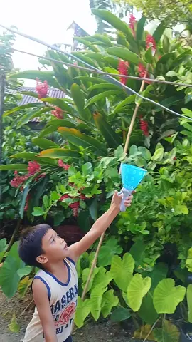 Check out Fun shooting cup, ball shooting cup for height development comes with 4 balls, set of 2 catching cups with 4 balls for ₱127. Get it on Shopee now! https://s.shopee.ph/2g29Q0oMLj#kidsplay #educational #educationaltoy #affiliate 