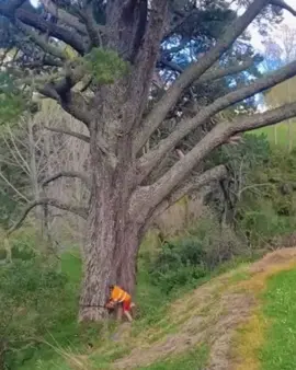 Diskaun 50% - penghantaran percuma untuk 99 pelanggan pertama yang membuat pembelian - stok terhad!