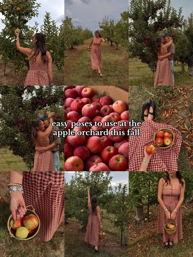 easy poses for the apple orchard🍎🧺 #pose #applepicking #fall #photoshoot #poseideas 