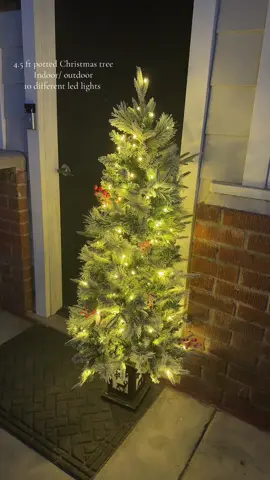 The most beautiful Christmas tree! 4.5ft potted indoor/outdoor  #christmastree #ledlights #christmasdecor 