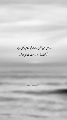 beshak mention your patner 🙌🏻🫂  . #urdupoetry #dost #shayri #urduquotes #saad_writes022 