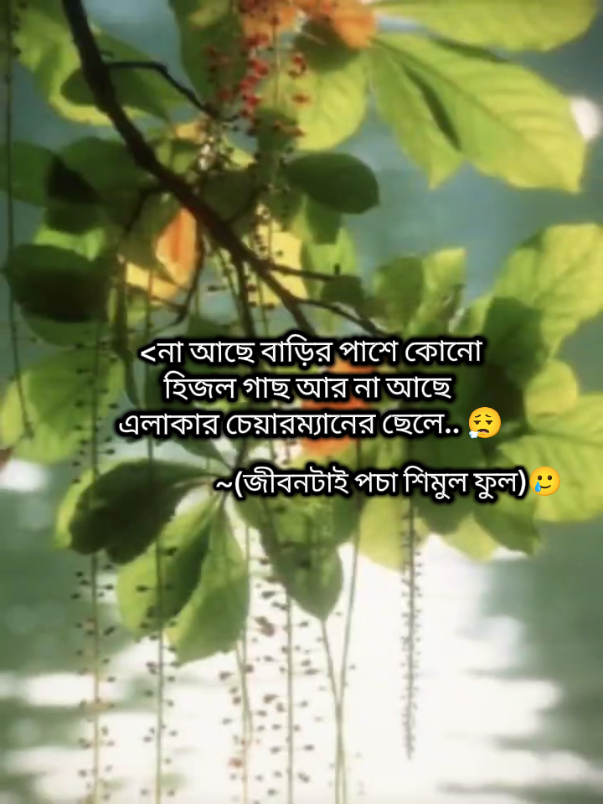 অবশেষে উপন্যাস টা শেষ করলাম 🙂🙂🙃🤭🤭🎀🎀🎀😩😩🤨💌💌💌🍂🍂🪔 . .. . . .#শিমুল_ফুল🥀🥀 #জাকিয়া_সুলতানা_ঝুমুর #শিমুল_পুষ্প🪔🪔#fyppppppppppppppppppppppp #bdtiktokofficial🇧🇩 